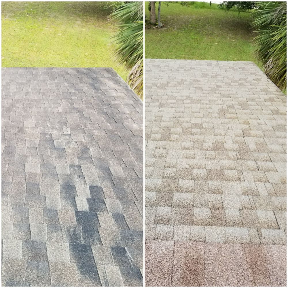 Shingle Roof Cleaning in Eustis, FL