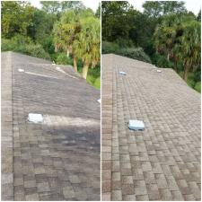 Shingle Roof Cleaning in Eustis, FL 3